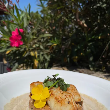 بيت ضيافة Le Florida Contemporaine