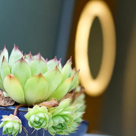 Le Florida Contemporaine