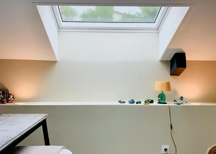 Le Florida Contemporaine